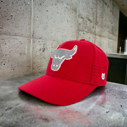 Chicago Bulls