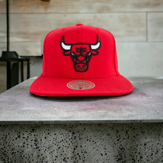 Chicago Bulls