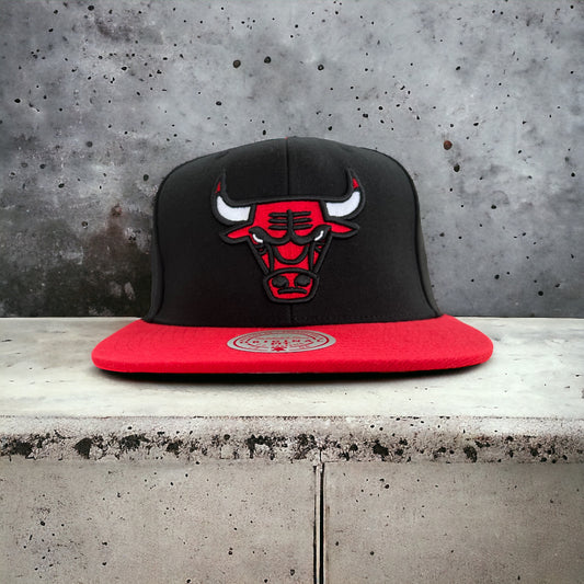 Chicago Bulls